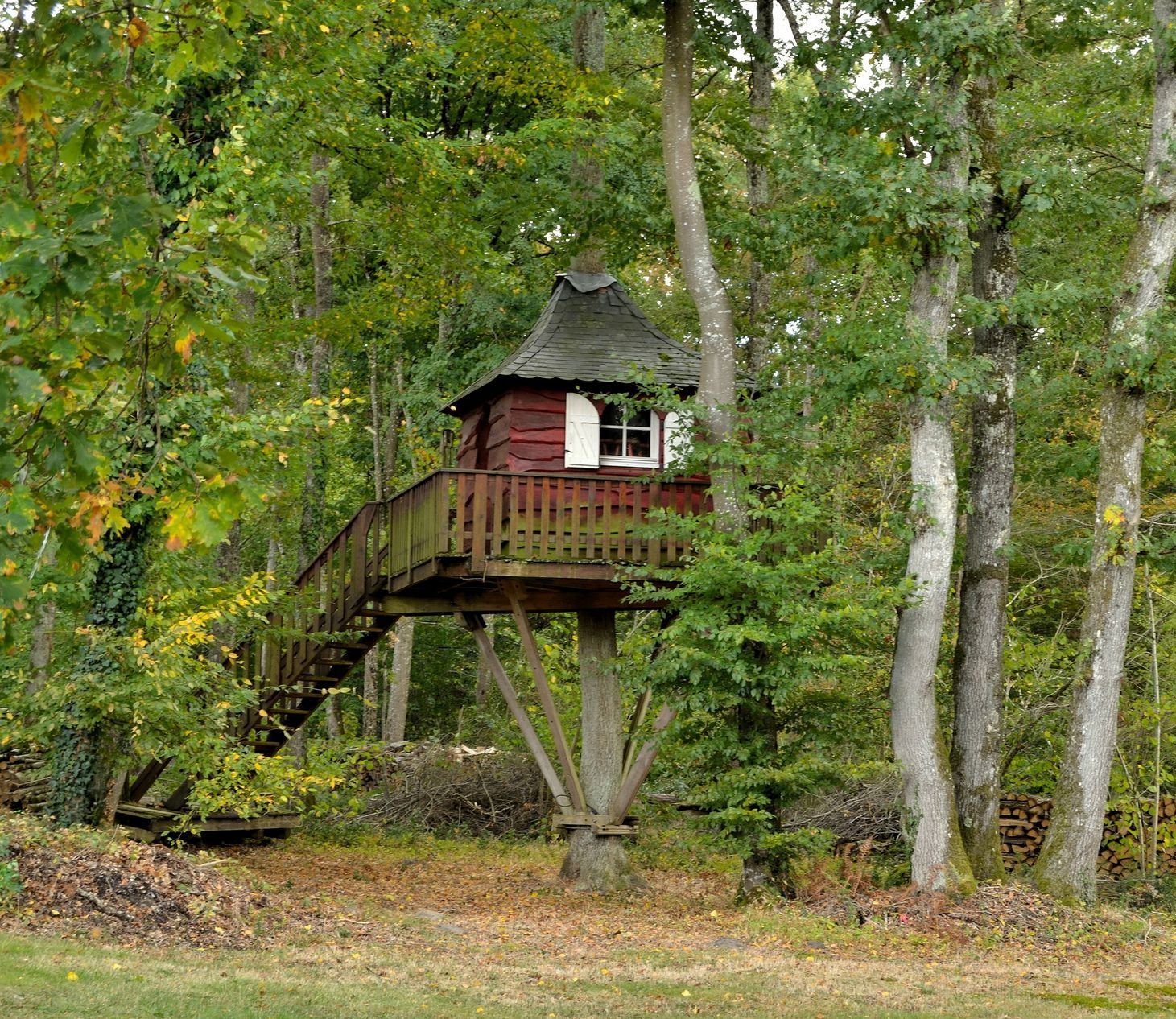 Maisonnette en bois surélevée