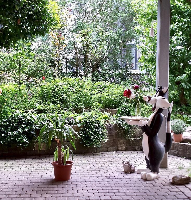 Garten - Dr. med. Waltraud Tschaggelar-Trenkner