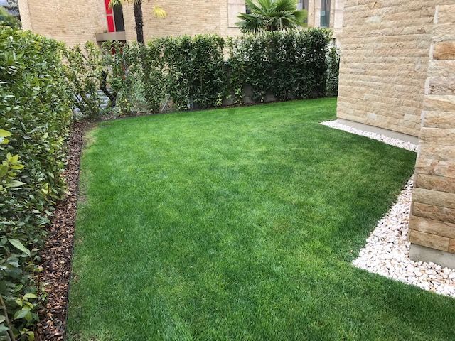 Haus mit Garten und Hecke