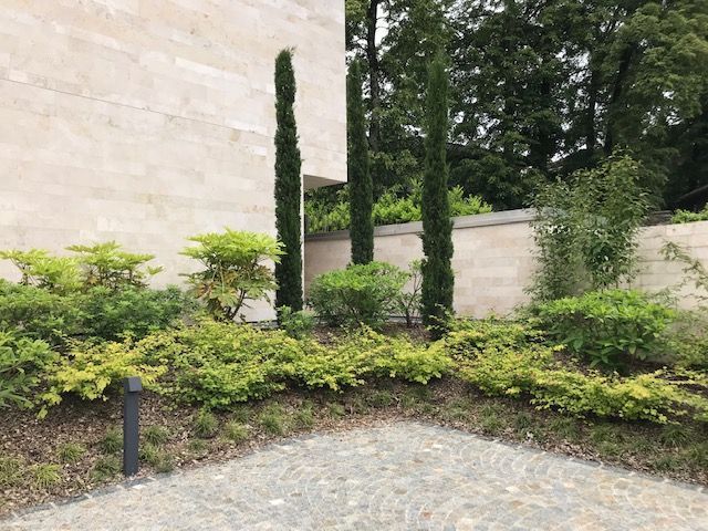 Bereich mit Bäumen und Gebüsch