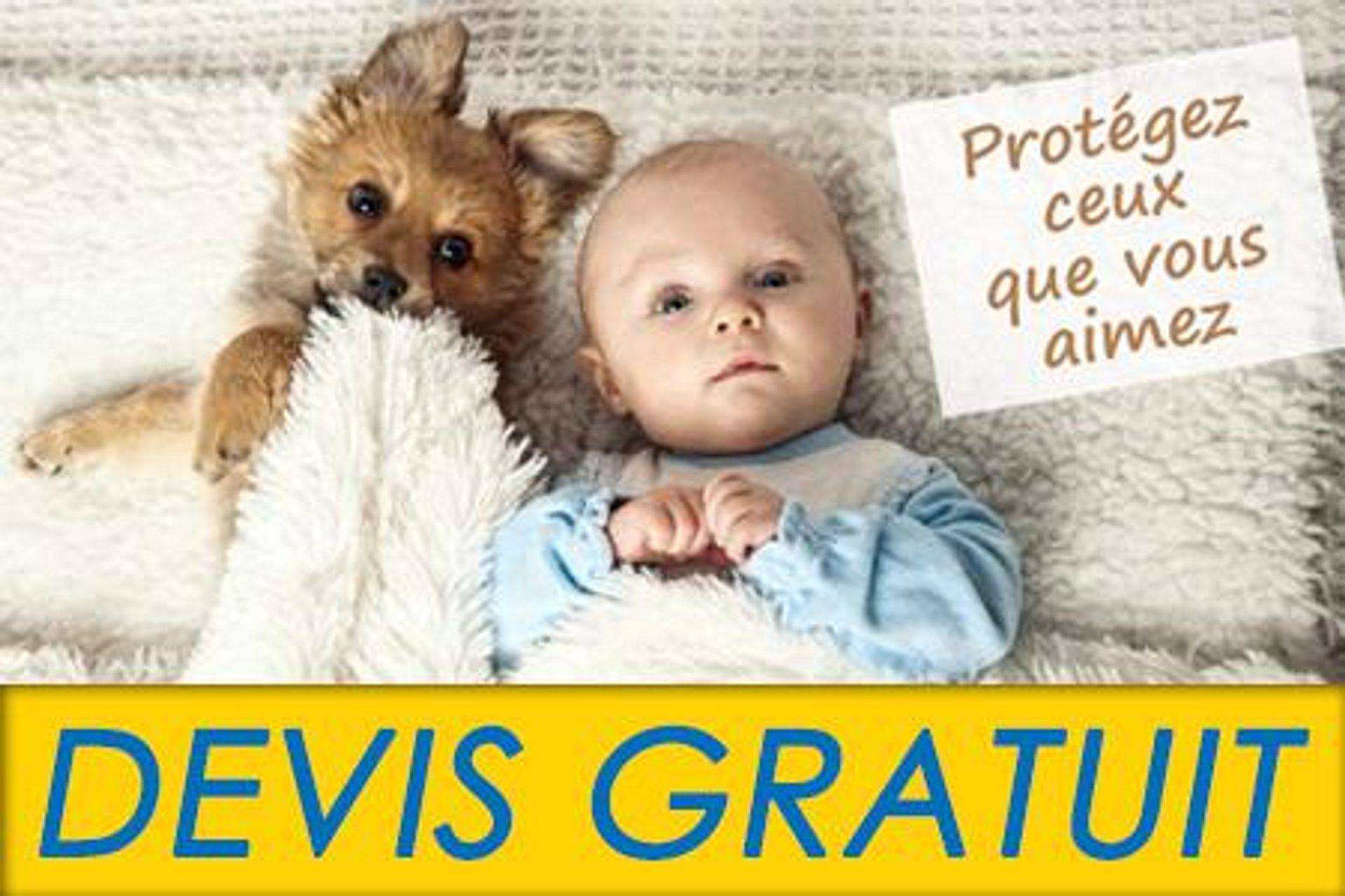 Chien et bébé couchés ensemble ; texte : « Protégez ceux que vous aimez. » Devis gratuit.