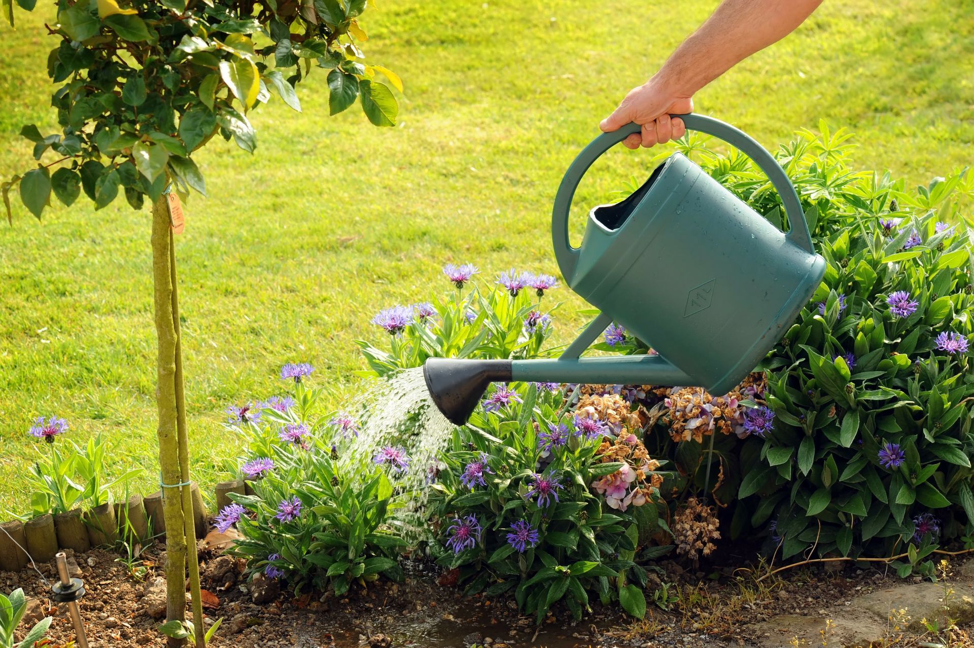 Service à la personne