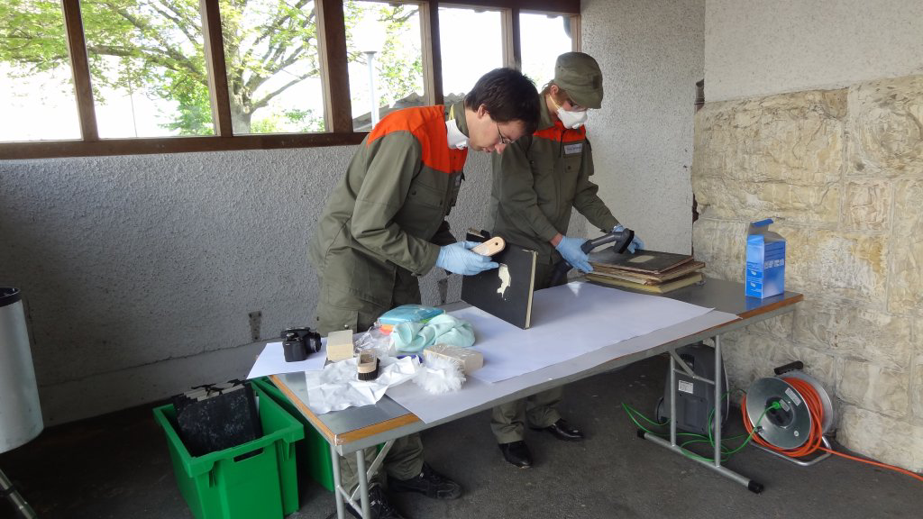 findBar Archiv- und Informationsmanagement