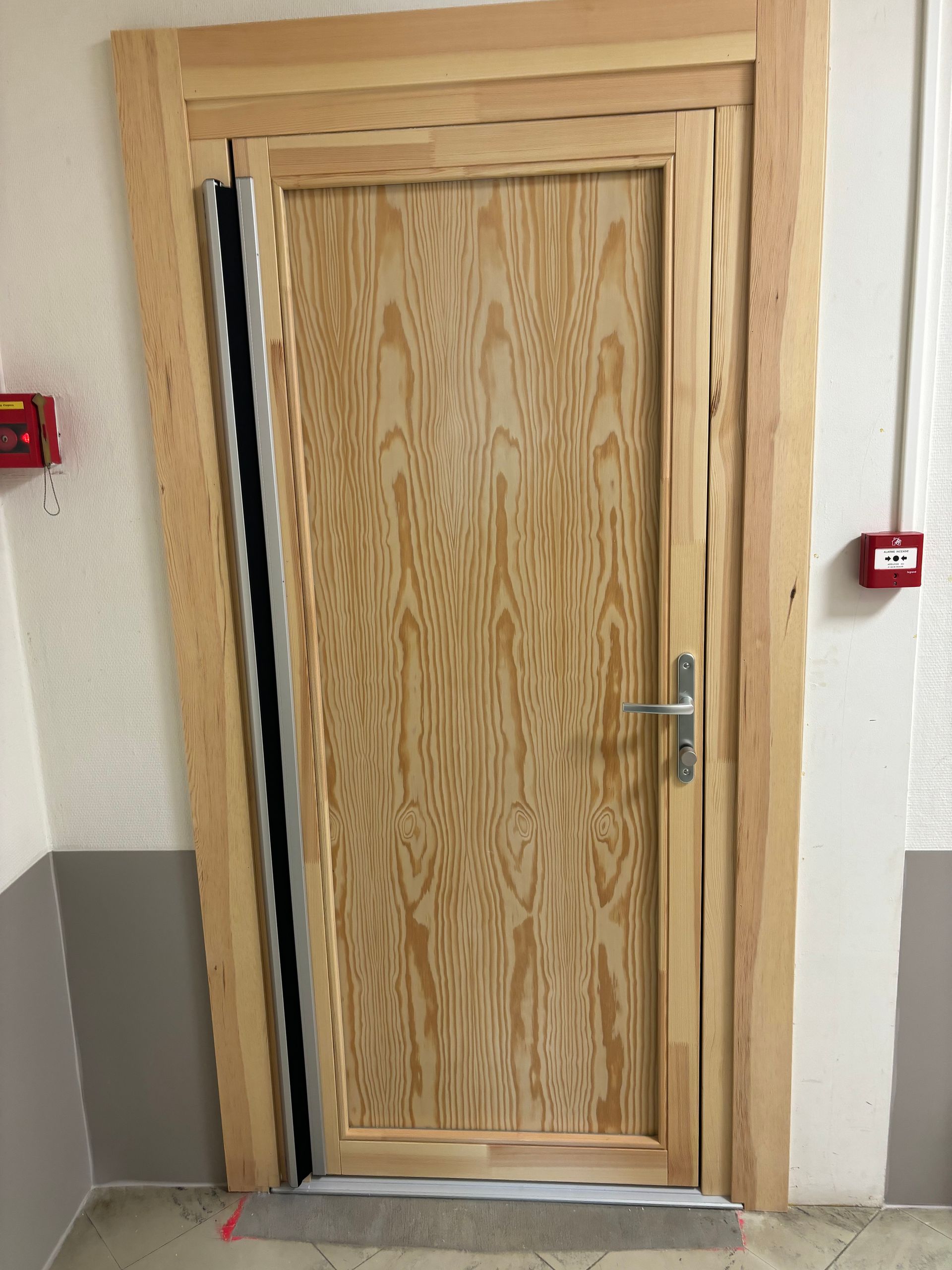 Porte pleine en bois clair