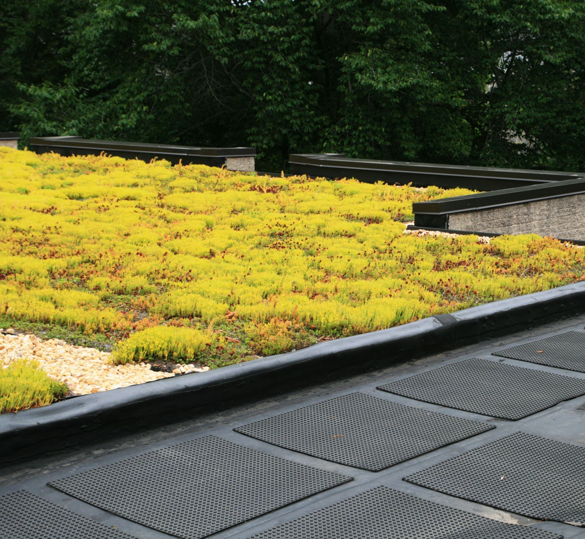 Toit-terrasse végétalisé