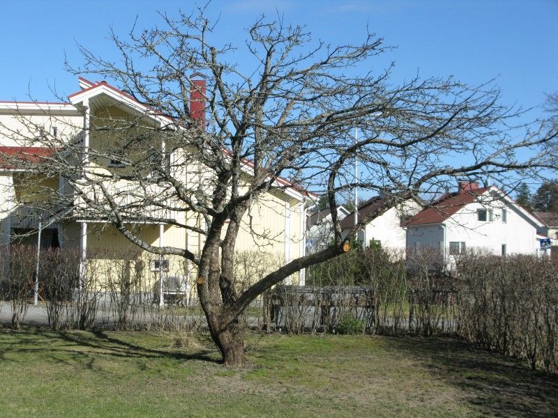 vihertoimi