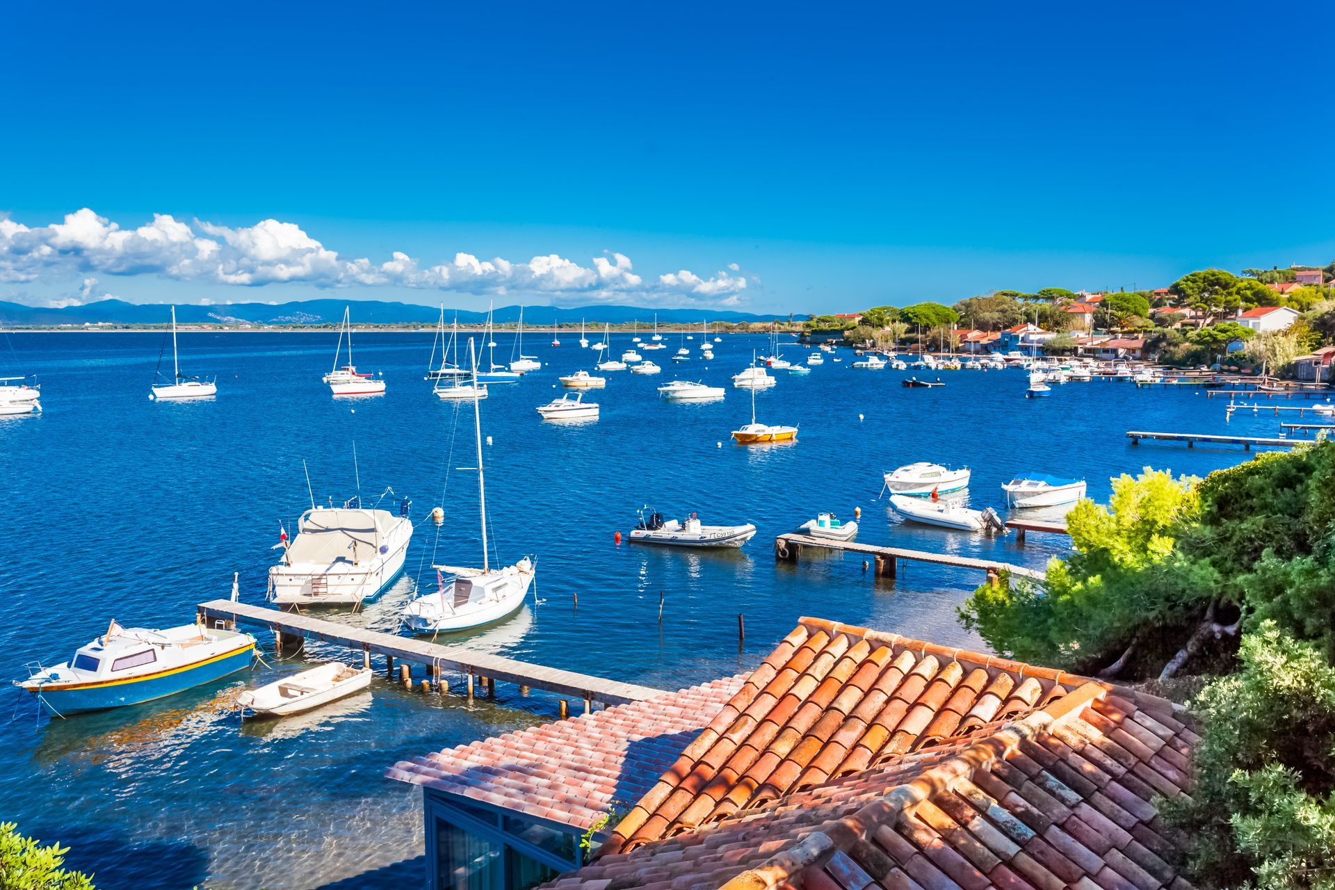 Marina ensoleillée avec de nombreux voiliers et yachts dans une baie bleue, à côté d'un toit de tuiles rouges et d'une colline verdoyante.