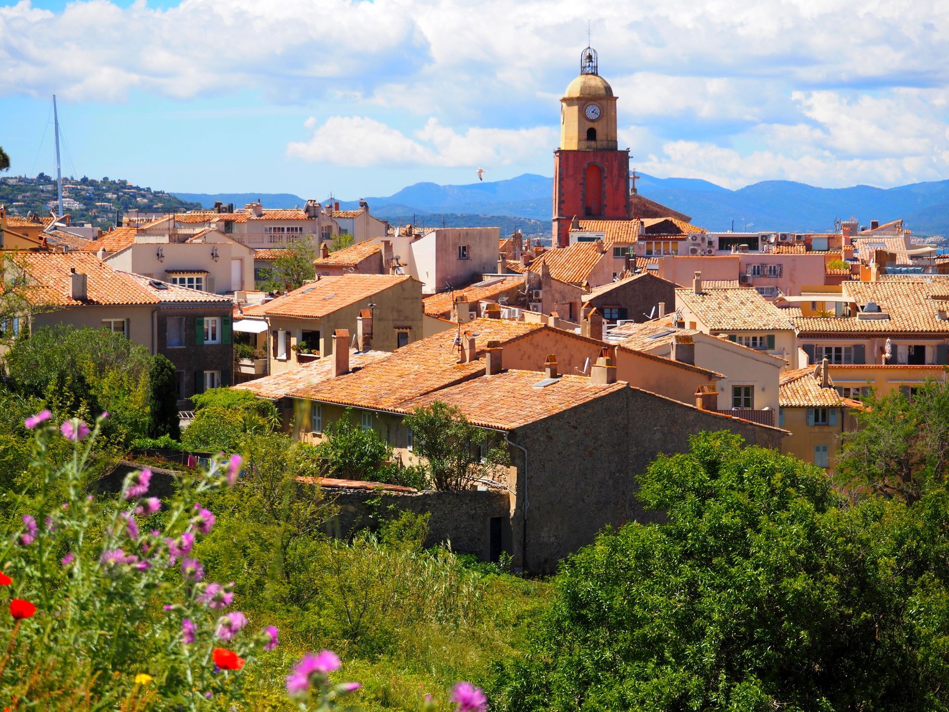 Vue panoramique d'une ville aux toits de tuiles, avec un clocher, des montagnes à l'horizon et des fleurs au premier plan.