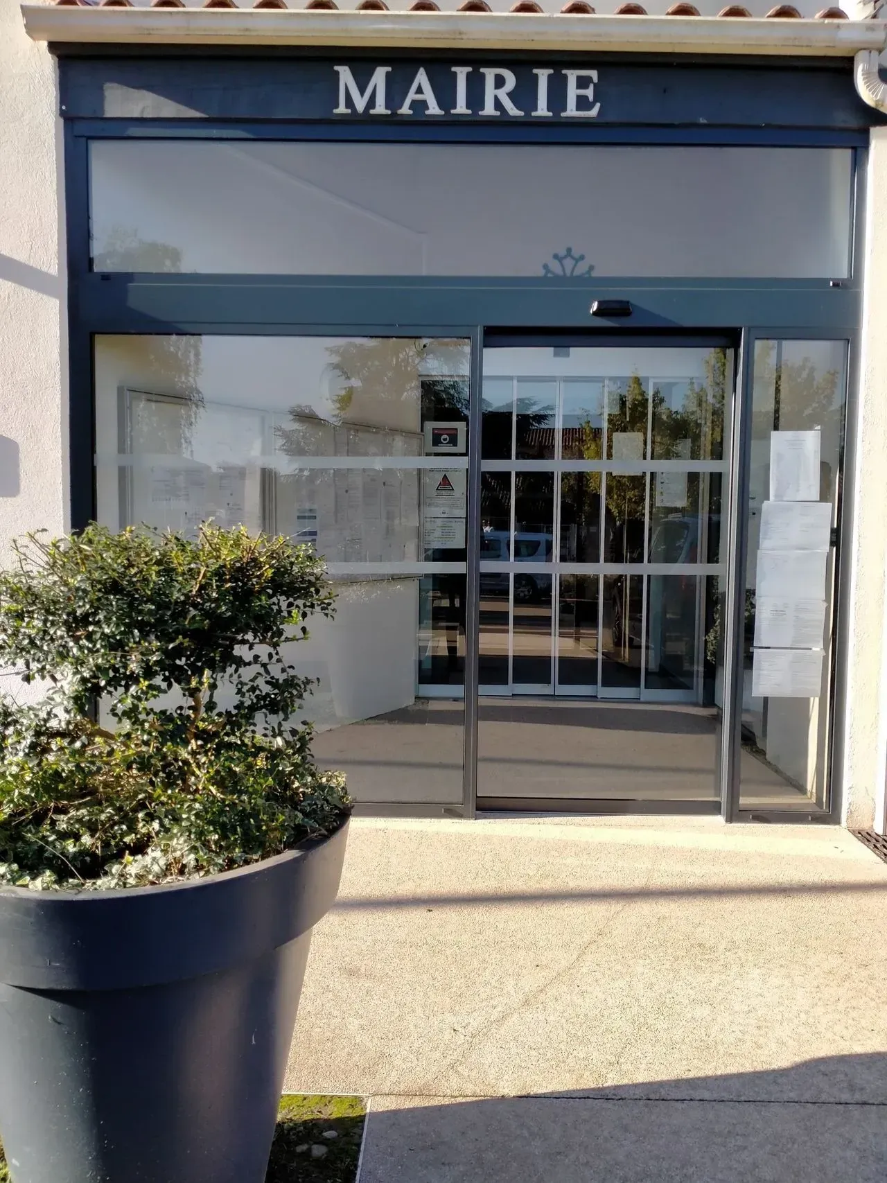 Entrée d'une mairie avec une enseigne « MAIRIE », des portes vitrées et un arbuste en pot devant.