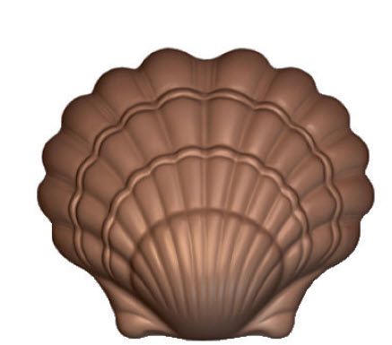 Eine braune Muschel auf weißem Hintergrund