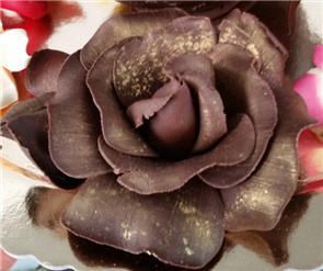 Eine Nahaufnahme einer Schokoladenrose auf einem Teller