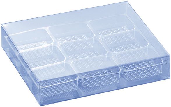 Eine durchsichtige Plastikbox mit Trennwänden und Deckel auf weißem Hintergrund.