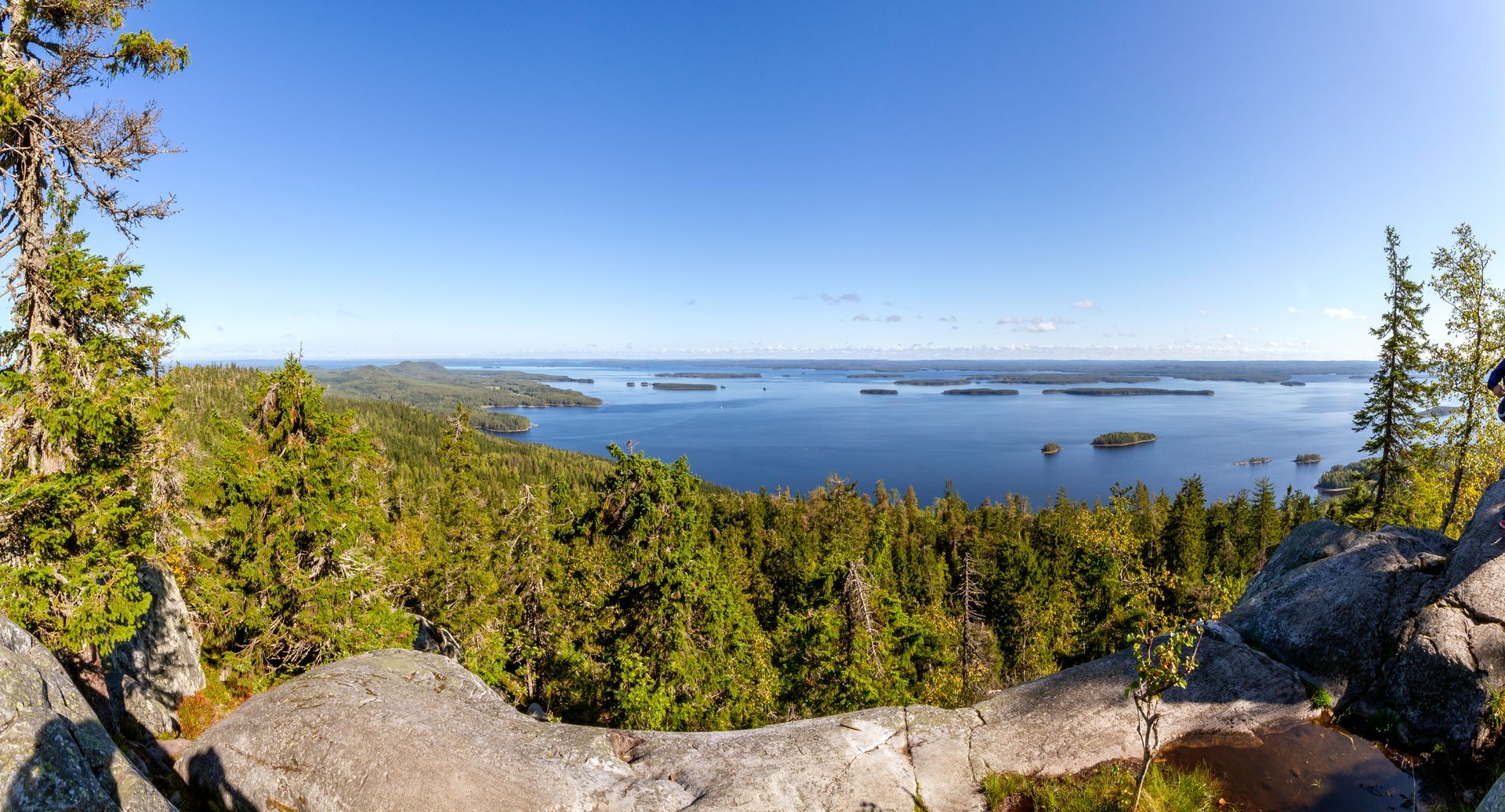 Maisema Kolin huipulta, järvi ja metsää