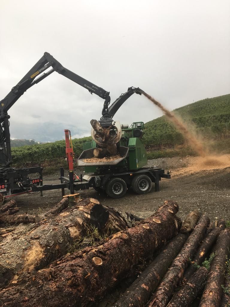 Un gros tas de bûches est déchiqueté par une machine.