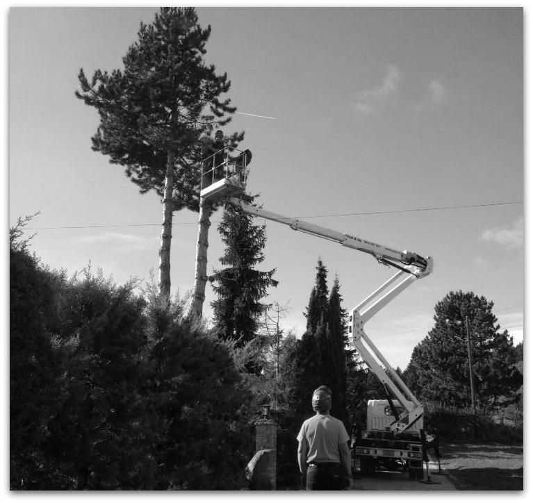 Une photo en noir et blanc d'un homme debout à côté d'une grue