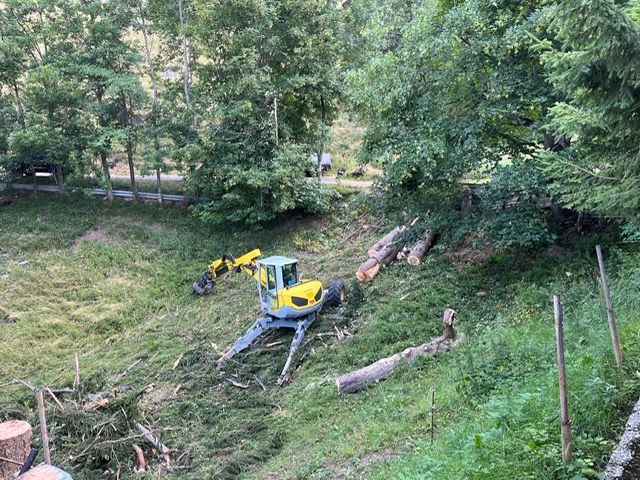 Une excavatrice jaune abat des arbres dans un champ.