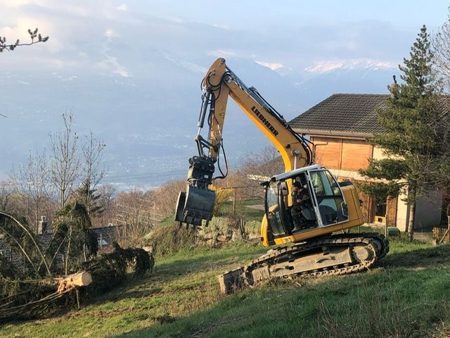 Une excavatrice jaune déplace un arbre dans un champ.