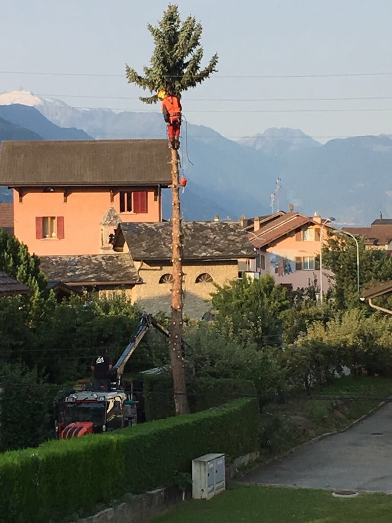 Un homme grimpe à un arbre devant une maison avec des montagnes en arrière-plan.