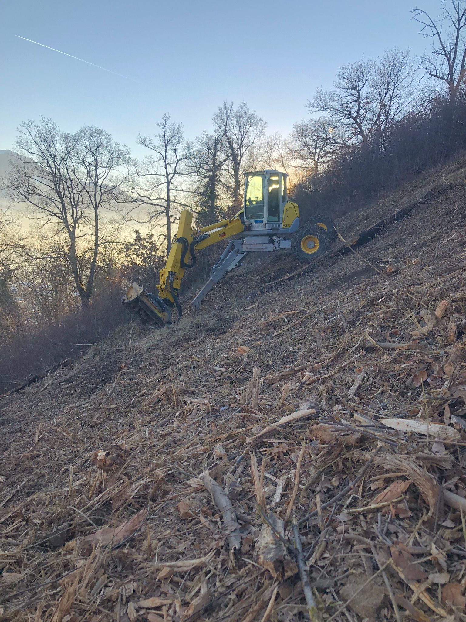 Une excavatrice jaune est assise au sommet d'une colline couverte de feuilles.