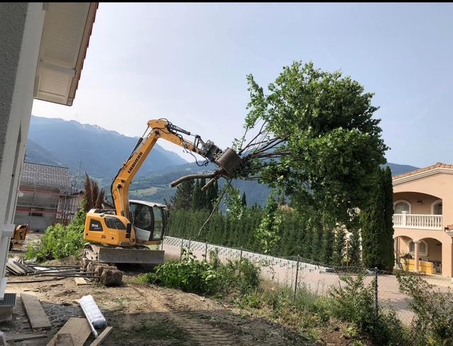 Une excavatrice jaune abat un arbre devant une maison.