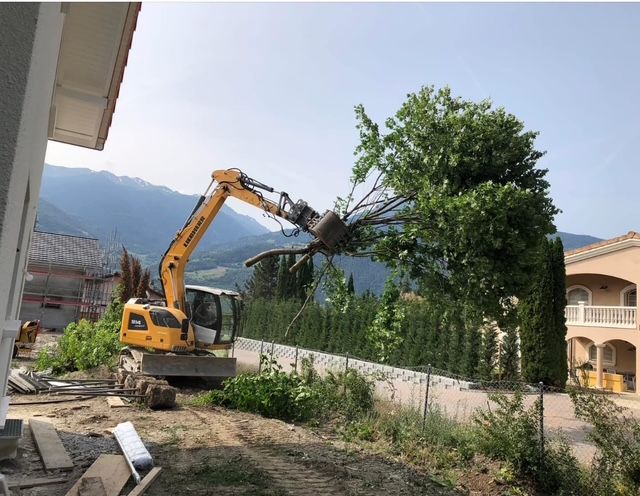 Une excavatrice jaune abat un arbre devant une maison.