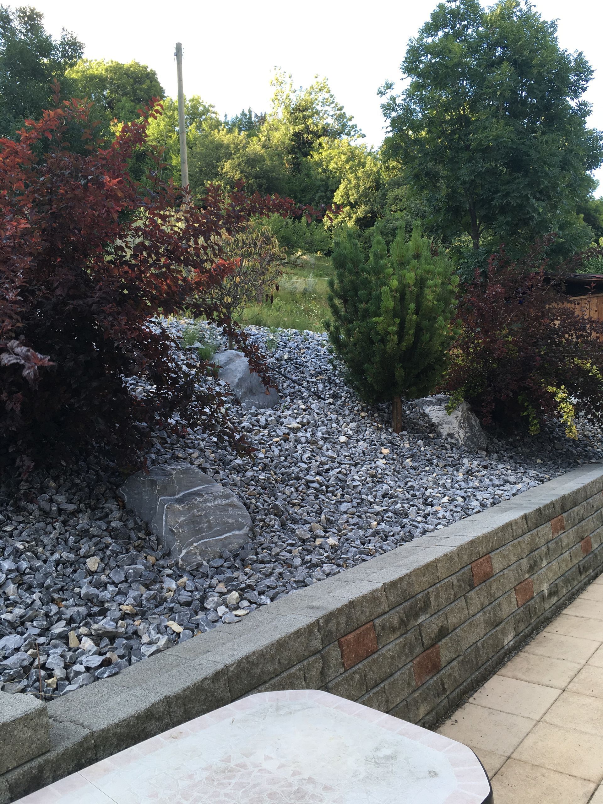 Un jardin de rocaille avec un mur de briques et des arbres en arrière-plan