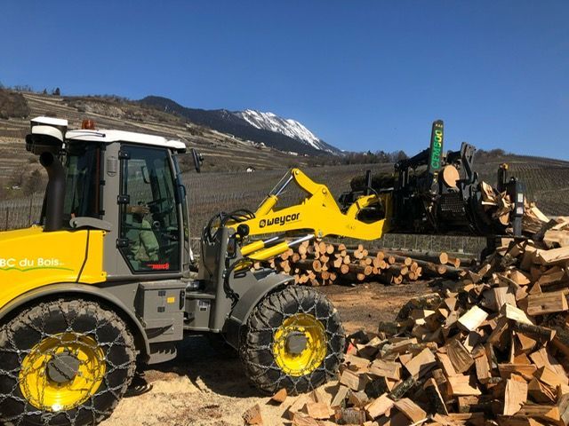 Un tas de bois coupé est empilé les uns sur les autres.