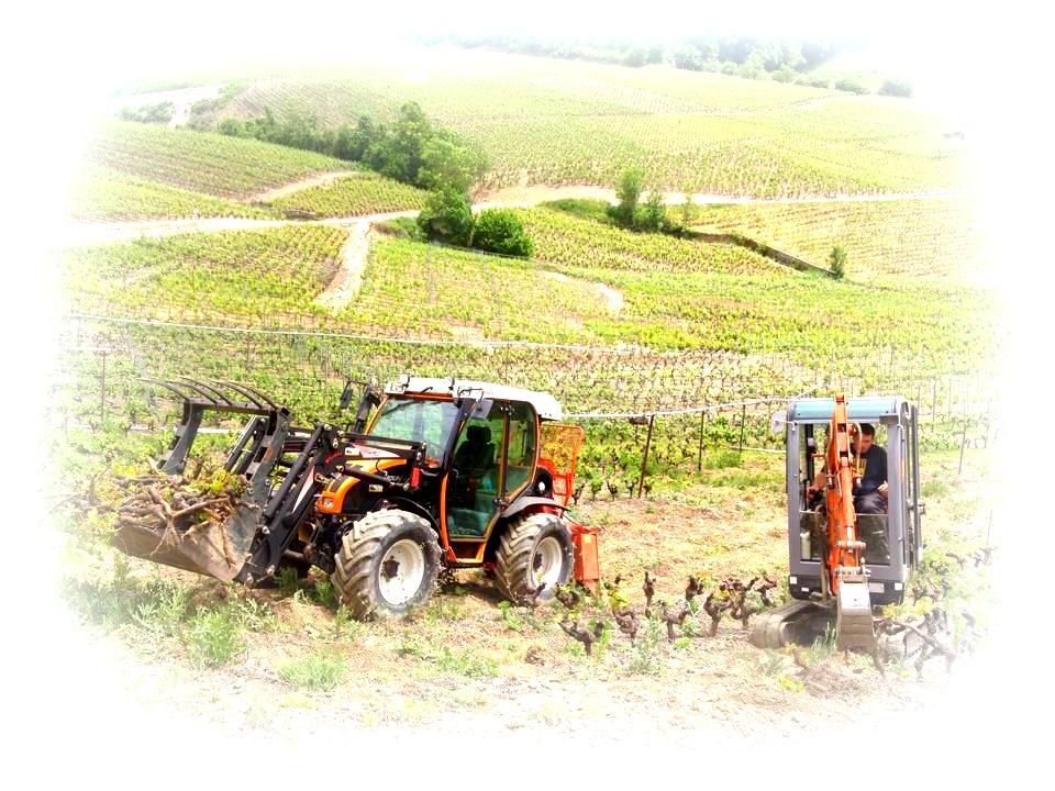 Un tracteur et une excavatrice travaillent dans un vignoble.