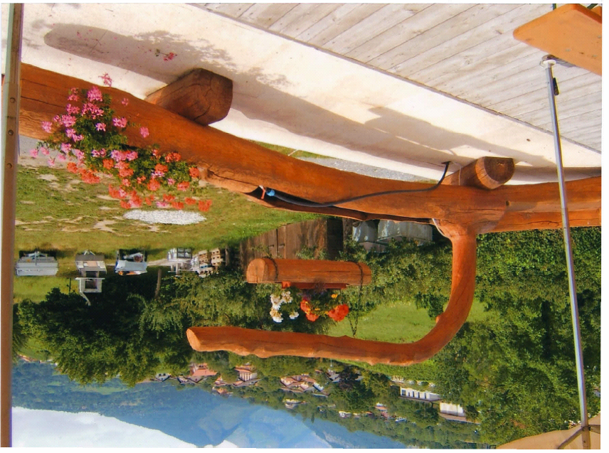 Une image d'un paysage avec une branche d'arbre au premier plan