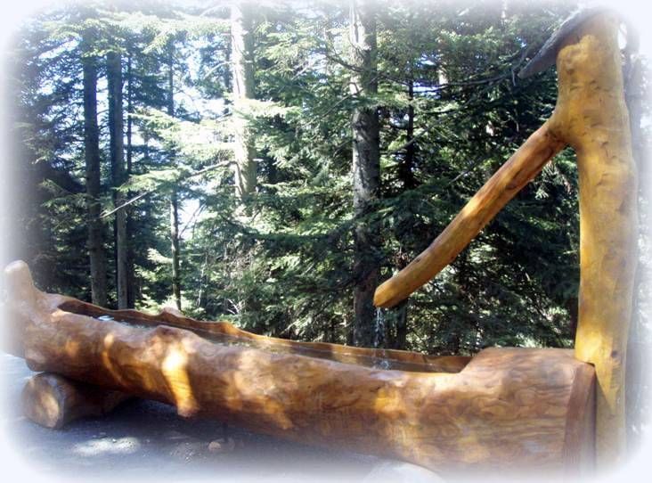 Une sculpture en bois au milieu d'une forêt