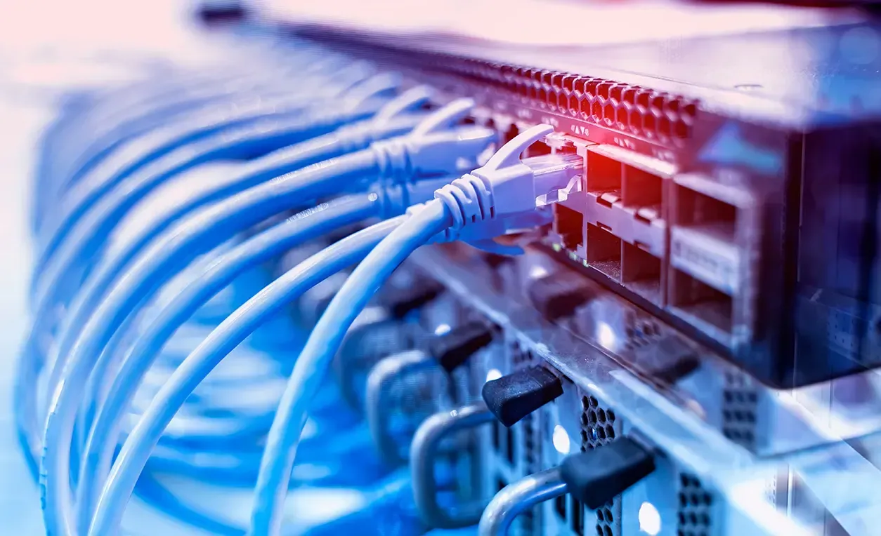 Netzwerk-Switch mit mehreren eingesteckten blauen Ethernet-Kabeln.