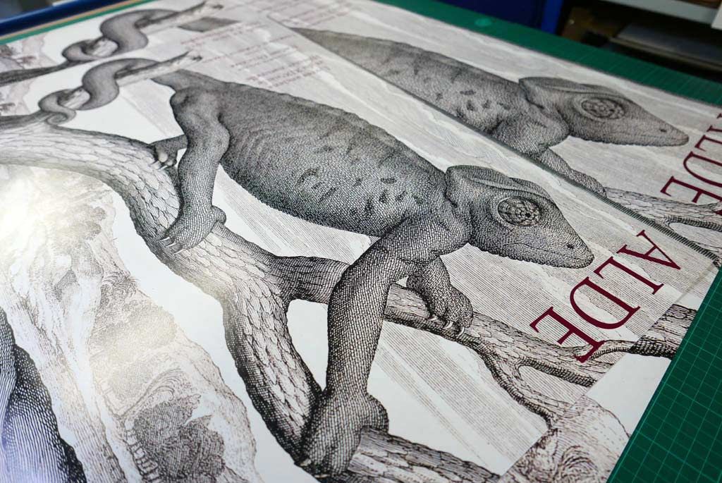 Impression d'affiches stylisées pour Alde avec une dominante en noir et blanc présentant un caméleon