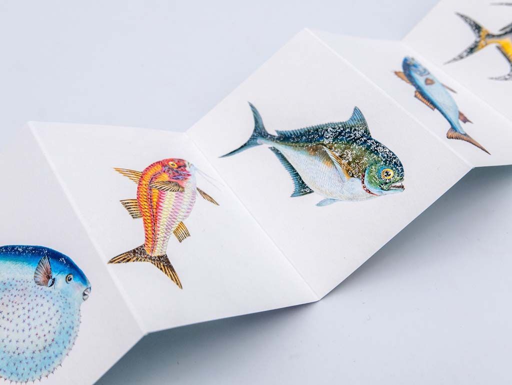 Document imprimé sur du papier en accordéon avec pour chaque page la représentation qualitative de poissons colorés