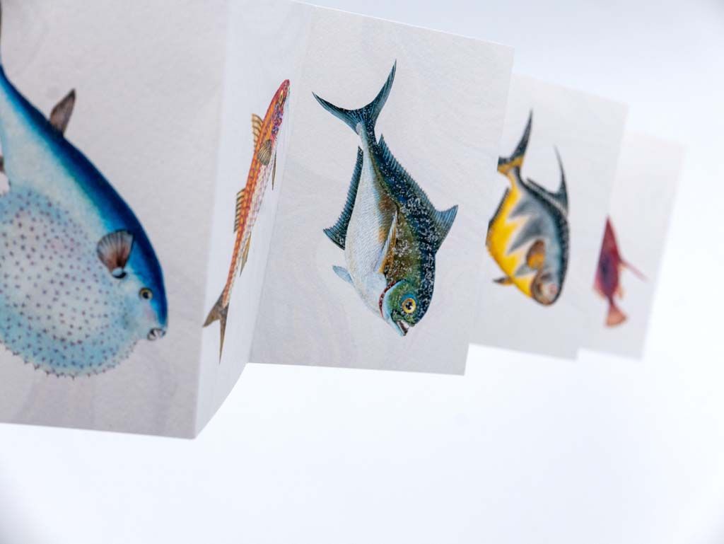 Papier en accordéon imprimés avec des motifs de plusieurs poissons colorés
