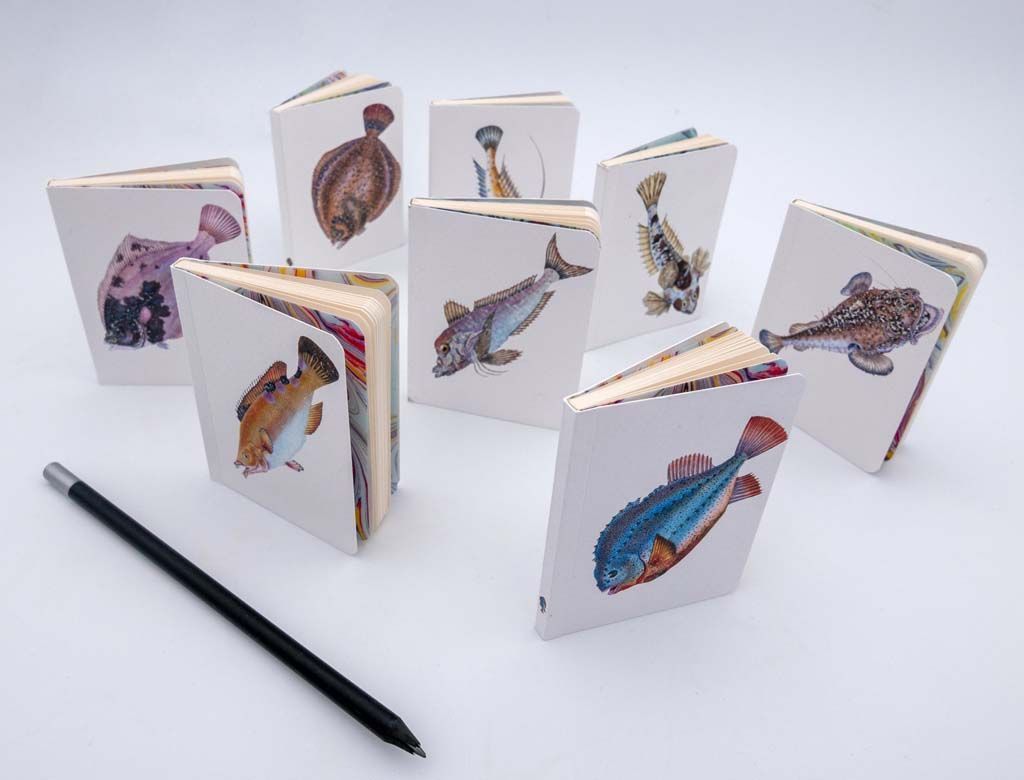 Série de calepins imprimés avec des motifs de poissons colorés sur la couverture.