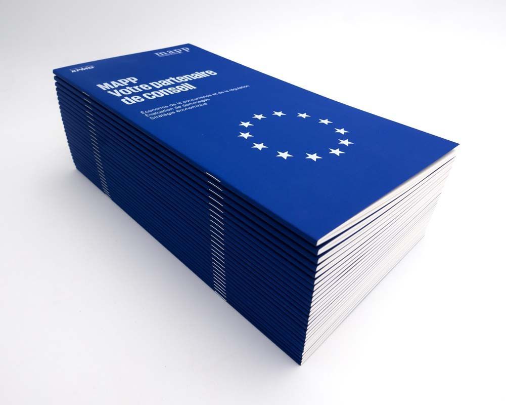 Ouvrage professionnel à couverture bleu roi pour MAPP