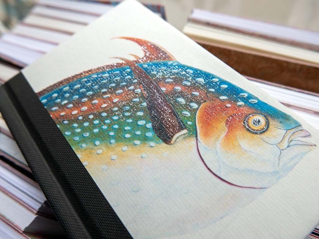 Ouvrage imprimé avec une couverture représentant un poisson coloré de profil