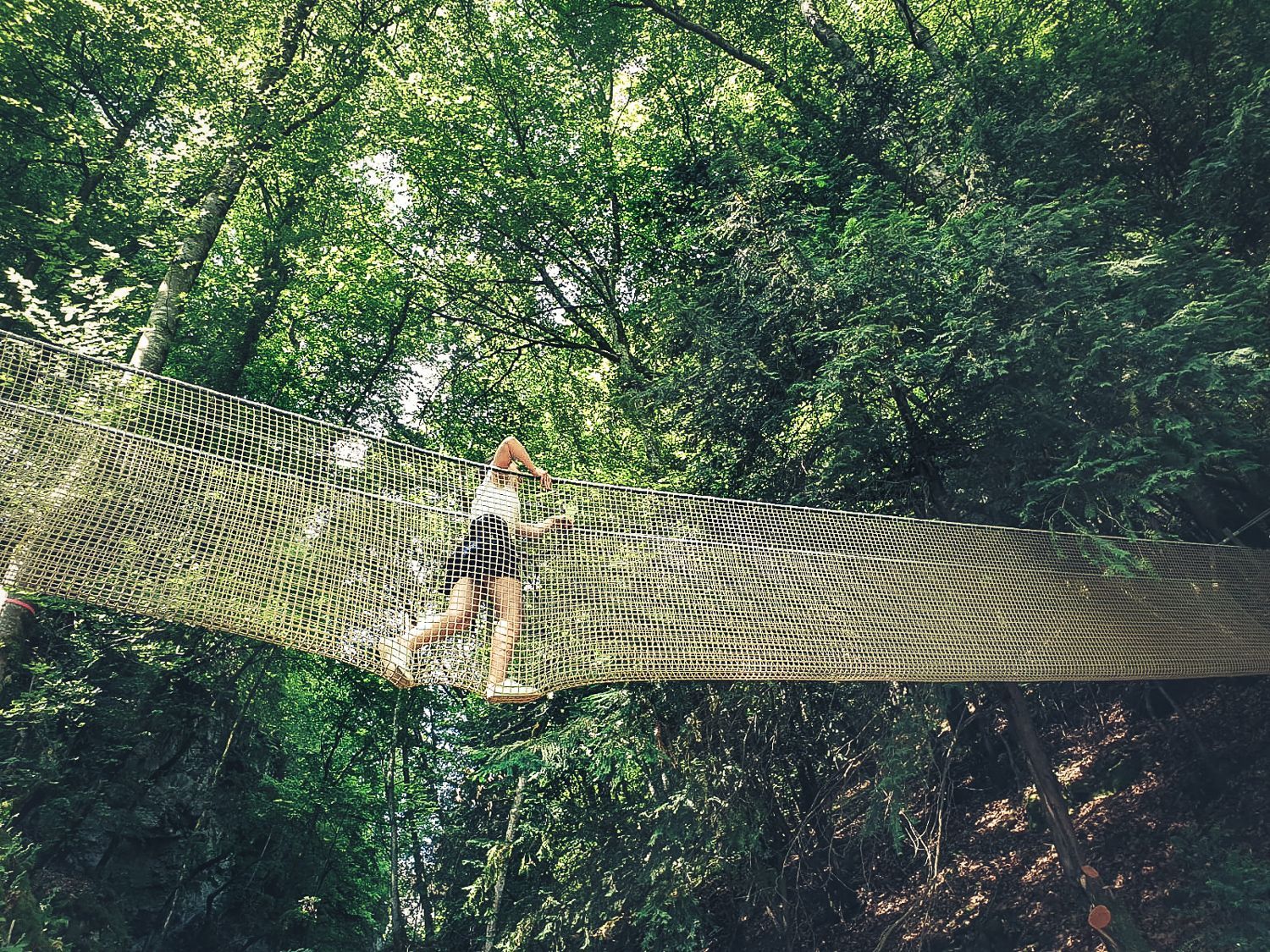 Une personne se tient sur un pont de corde dans une forêt dense et verdoyante.