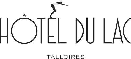 Logo H&ocirc;tel du Lac
