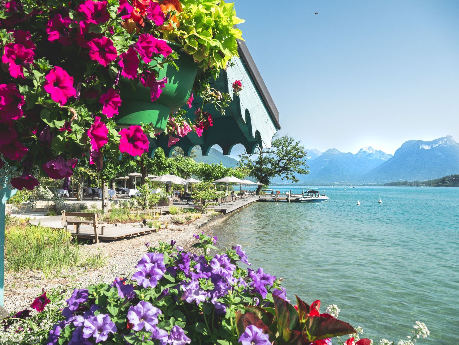 Des fleurs colorées surplombent un lac turquoise, avec des montagnes et une terrasse au bord de l'eau en arrière-plan.