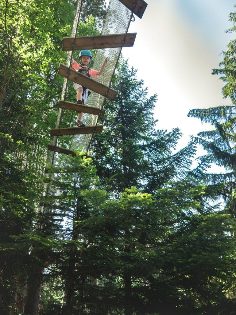 Une personne traverse un pont de corde suspendu dans la canopée d'une forêt, entourée de grands arbres verts.