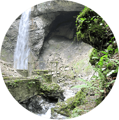 Grotte rocheuse avec une petite cascade et un ruisseau au milieu d'une végétation luxuriante