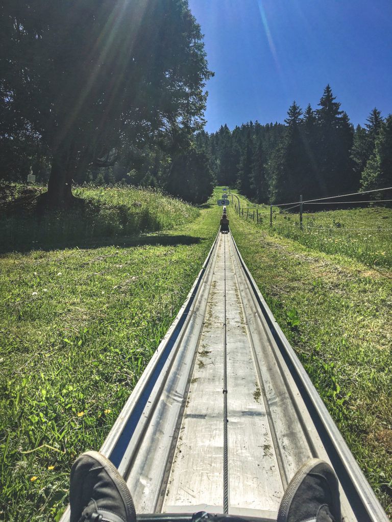 Vue subjective d'une piste de bobsleigh traversant une forêt ensoleillée, les pieds étant visibles au bas de la piste.