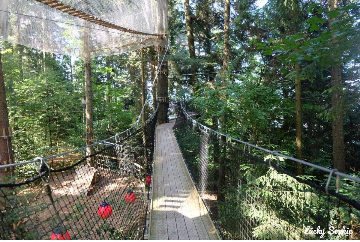 Passerelle suspendue traversant une forêt dense et verdoyante, avec des balises rouges le long du filet.