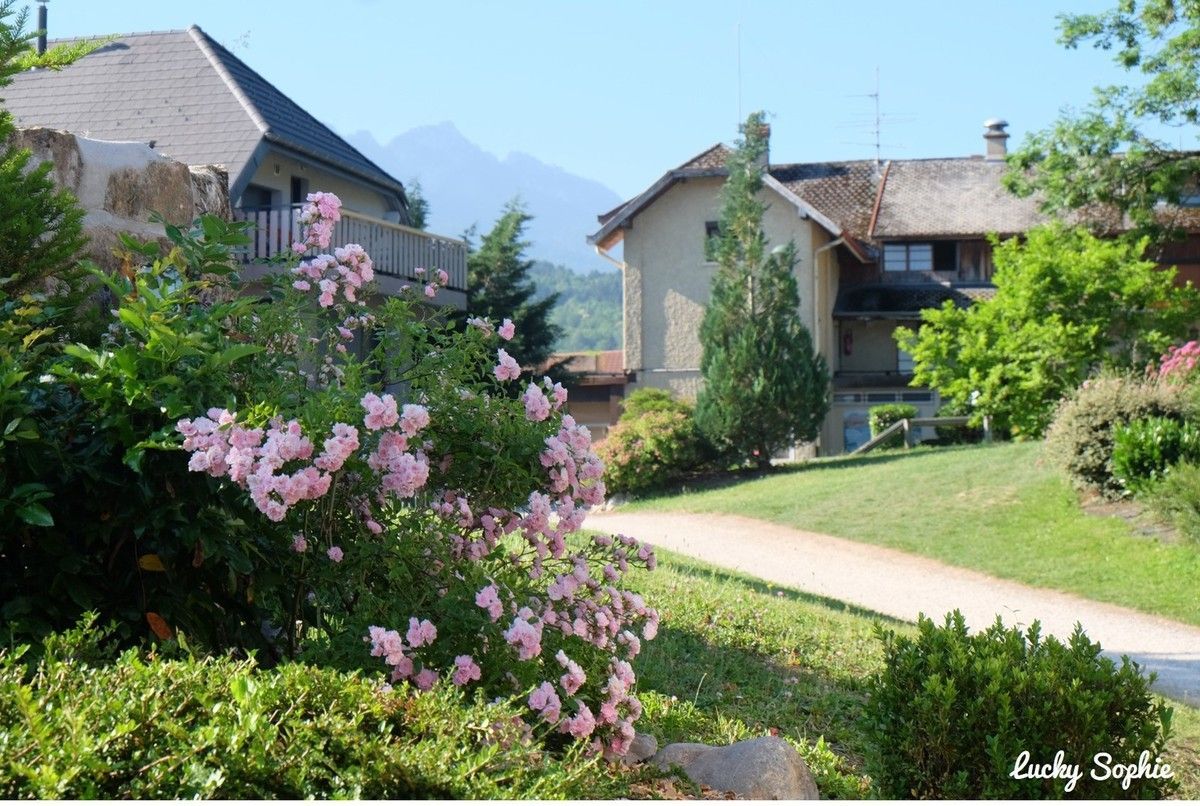 Allée fleurie entre les maisons par une journée ensoleillée