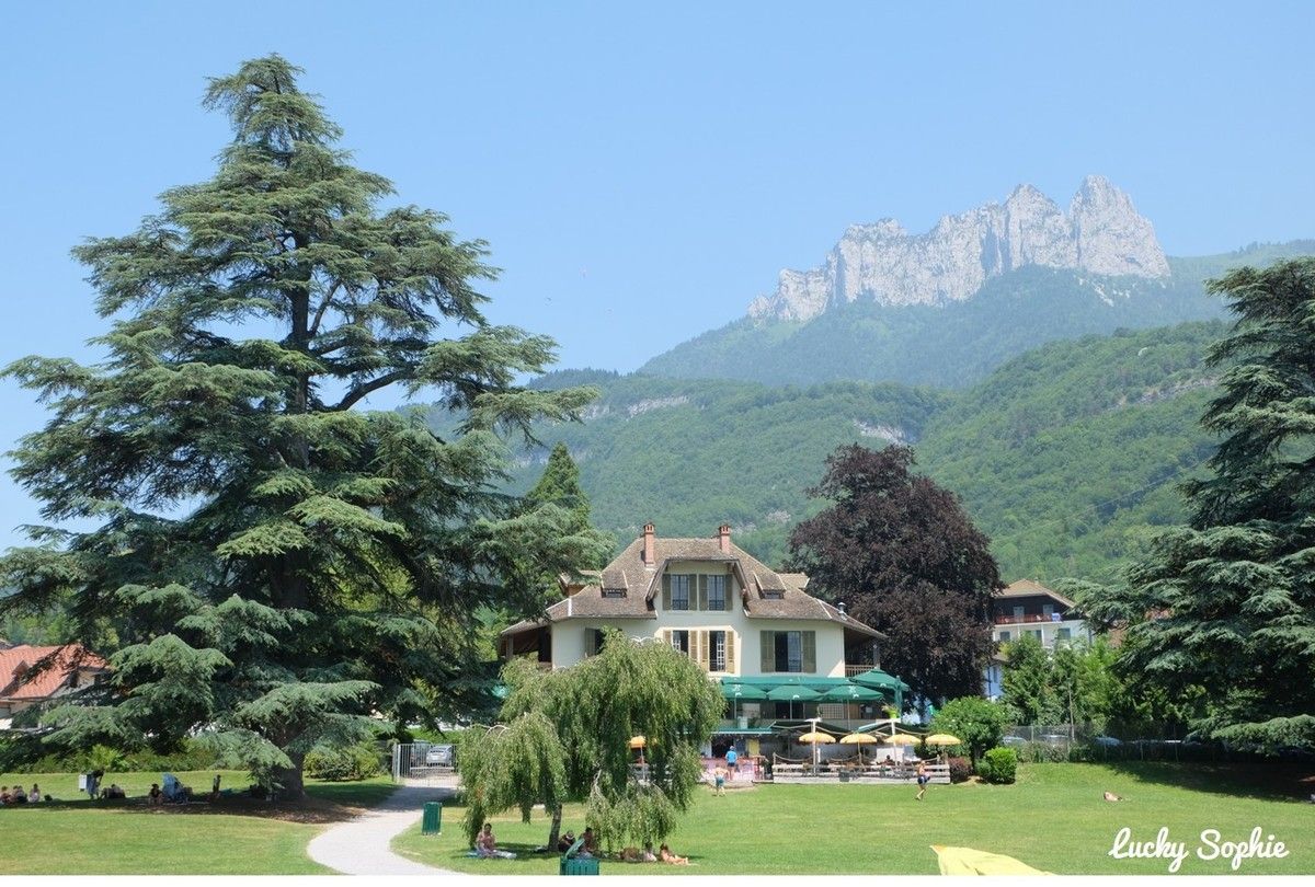 Un chalet de montagne avec un grand conifère, une pelouse verte et des pics rocheux en arrière-plan.