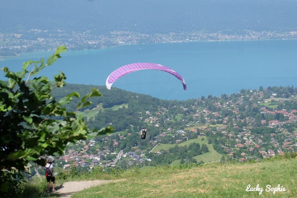 Parapente à voile rose surplombant une colline verdoyante et un lac bleu, vu d'en haut d'une ville