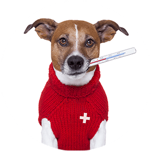 Επισκέψεις κατ' οίκον