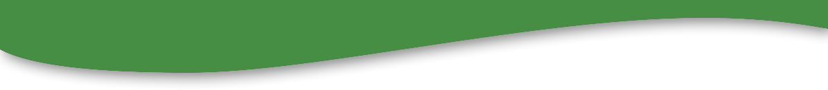 Kurve Grün