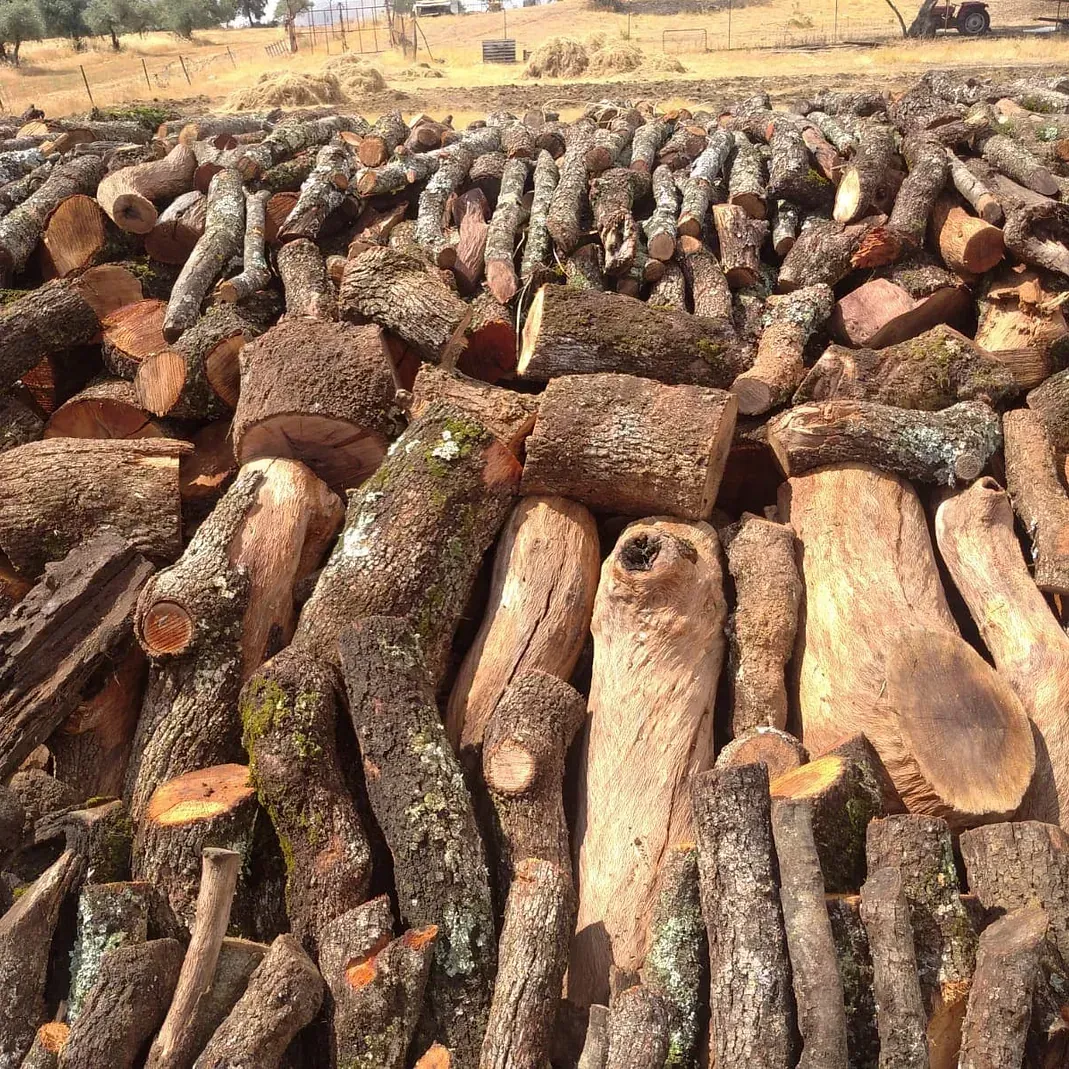 Una pila de troncos colocados uno encima del otro en un campo.